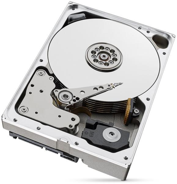 DYSK HDD Seagate SkyHawk AI ST10000VE001 10TB - obrazek 6